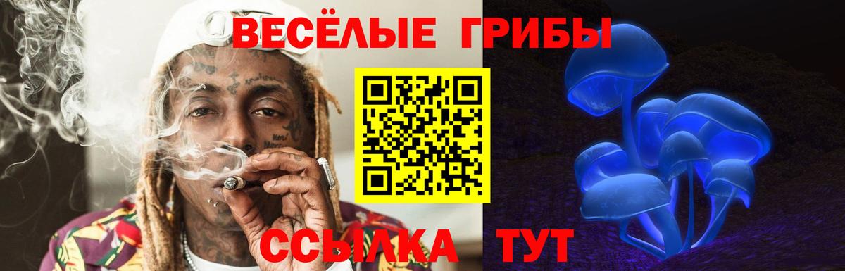 Псилоцибиновые грибы мицелий Моздок